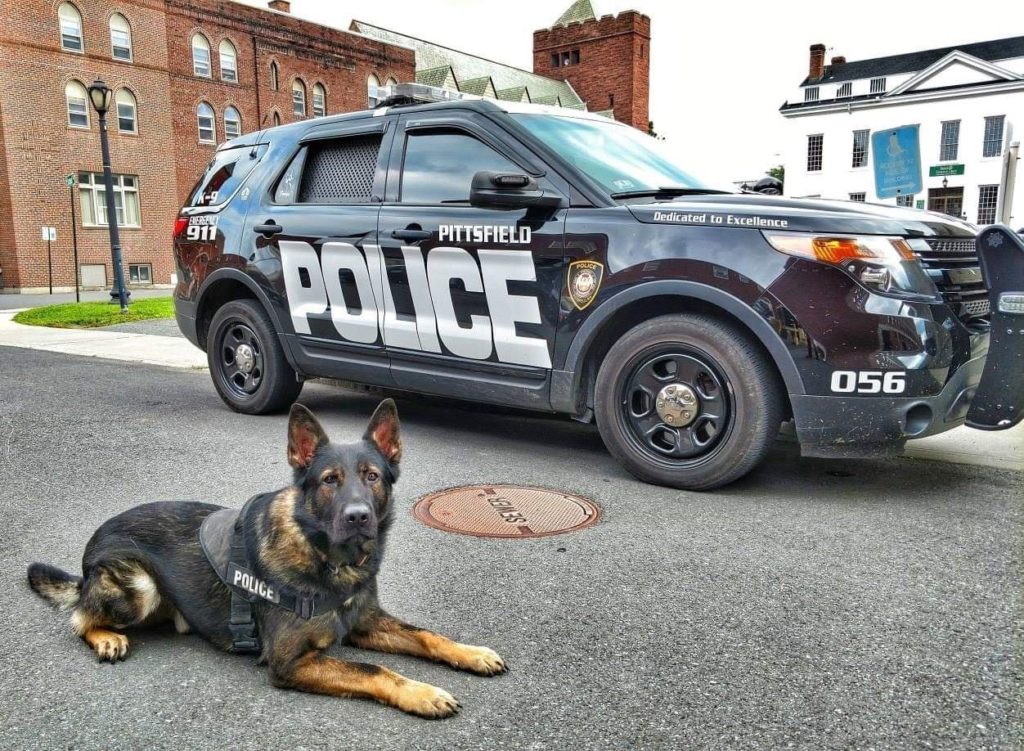 Police K9